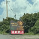 조안베어뮤지엄 | [제주도 2탄] 서귀포 실내 가볼만한 곳 조안베어뮤지엄 방문 후기_기념품 곰돌이 입양🧸