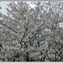 백운천 쉼터 이미지