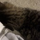 윤구농장 이미지