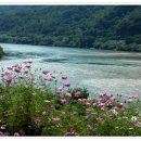 대황강민박 이미지