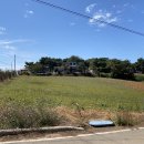 돌머리 696 이미지