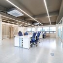 강남-217 이미지