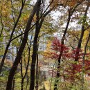 우면산 (소망탑 깔딱고개) | 대모산, 구룡산, 우면산 연계 등산코스(수서역 들머리, 사당역 날머리)