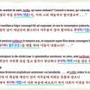 Re: 사14:12의 루시퍼는 아침의 아들, daystar처럼 하나님의 영광으로 빛나는 존재를 말함! 이미지