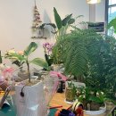 유엑스짐 이미지