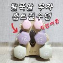 핑크덤벨 | 홈트필수템 덤벨 운동, 아리프 선인장 미용 아령 세트