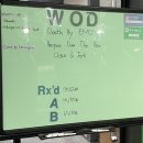 크로스핏헐크 남구점 | 망고의 크로스핏 첫 드랍인 후기 [울산크로스핏헐크 신정점]