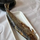 다솜차반 이미지