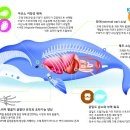 고래뜰