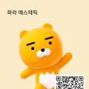 파라 에스테틱 이미지