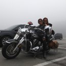 미녀&야수 이미지