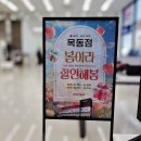 베스트PC | 양천구 LG가전 알아본 LG전자 베스트샵 목동점 봄맞이 그랜드 세일 후기