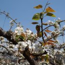 은현농장 이미지