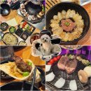 1274 | 송도 타임스페이스 맛집 양목장1274 인천 애견동반 식당 술집 양고기 후기