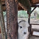 우리승마장 이미지