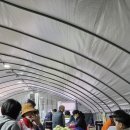 해돋이농장 | 충북 괴산 농촌체험여행 가볼만한곳 손주와 여행 ( 충북 아쿠아리움 농업역사박물관 숲골농원 팜마티나 )