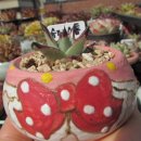 동운슈퍼 이미지