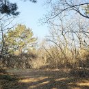 안산시남동보건진료소 | 서해랑길 90코스 대부도 해솔길 남동보건진료소입구-흘곶어촌체험마을-흥성리선착장-큰산-더헤븐CC-독도...