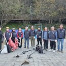 매화공원 이미지