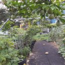 조아농원 이미지