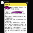 [창경궁]타임크로싱 창경기담 역사 도슨트 내돈내산하고왔다.
