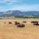 섬과 하루 이미지