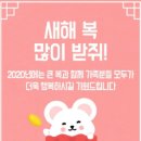 에스이와이 이미지