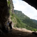 수출대로-20 이미지