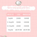 호텔머니 이미지