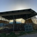 오가면010 이미지