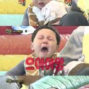 애니멀즈 이미지