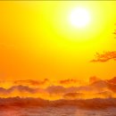 태양을향하여 이미지