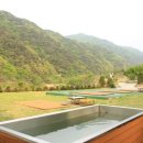 벳소캠프 이미지