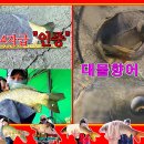 월척낚시터 이미지