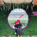 연곡농장 이미지