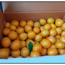 민우네농장 이미지