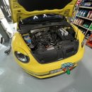 수컷웅샵 이미지