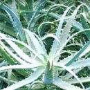 유니베라 부천상동 이미지