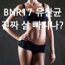 인기 있는 bnr 17 유산균 효능 이미지