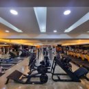 이지피티 이미지