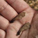 하남제3호어린이공원(햇살) | 하남 가볼 만한 곳 추천 : 자연속 체험이 가득한 나무고아원 후기✨️