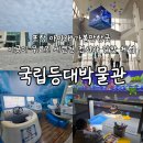 등대 | 포항여행 아이와 추천 국립등대박물관 후기 무료입장 실내체험 바다뷰
