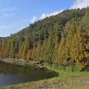 용소웰빙공원 이미지