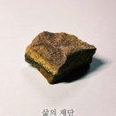 허니팟(honeypot)