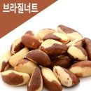 브라질너트/ 효능 이미지