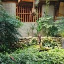 포도송이풀빌라 이미지