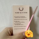 5722 | [월평동 속눈썹펌: 누누브로우] 대전 속눈썹펌 추천 &amp; 후기