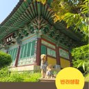 스테이배 이미지