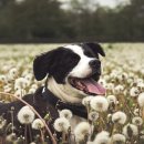 물빛동물병원 이미지