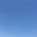 카페잠진도길28